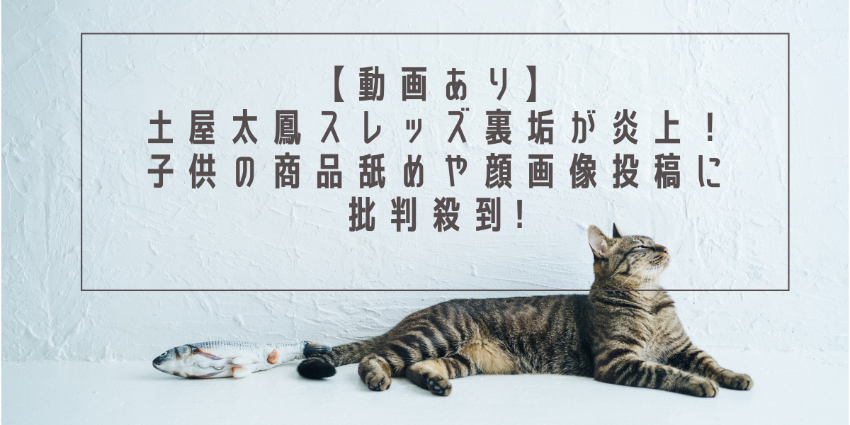 【動画あり】土屋太鳳スレッズ裏垢が炎上！子供の商品舐めや顔画像投稿に批判殺到!