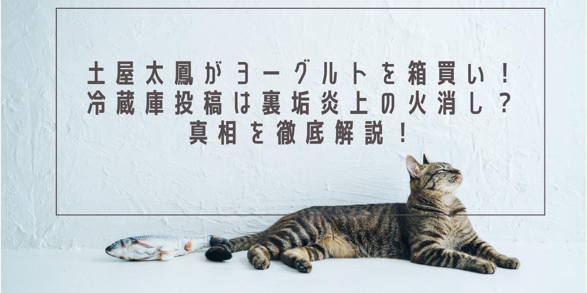 土屋太鳳がヨーグルトを箱買い！冷蔵庫投稿は裏垢炎上の火消し？真相を徹底解説！